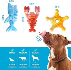 KXK diseño oceano estrella de mar y pez para morder
