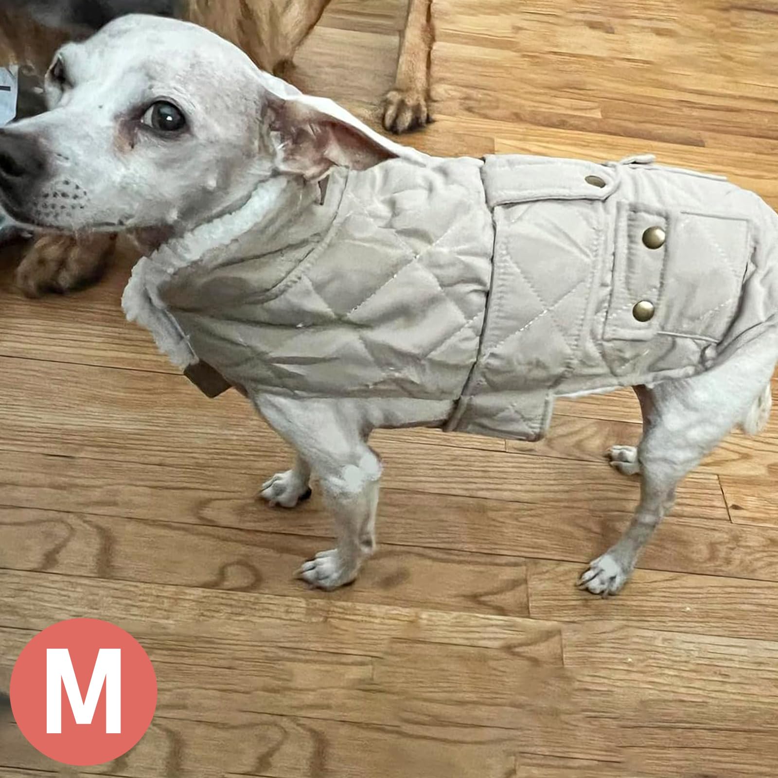 KYEESE abrigo para perro, ajuste con velcro en cuello y pecho.