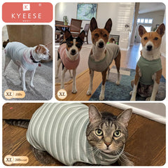 KYEESE camiseta waffle para perro pequeño, detalle de rayas para estilo diario.