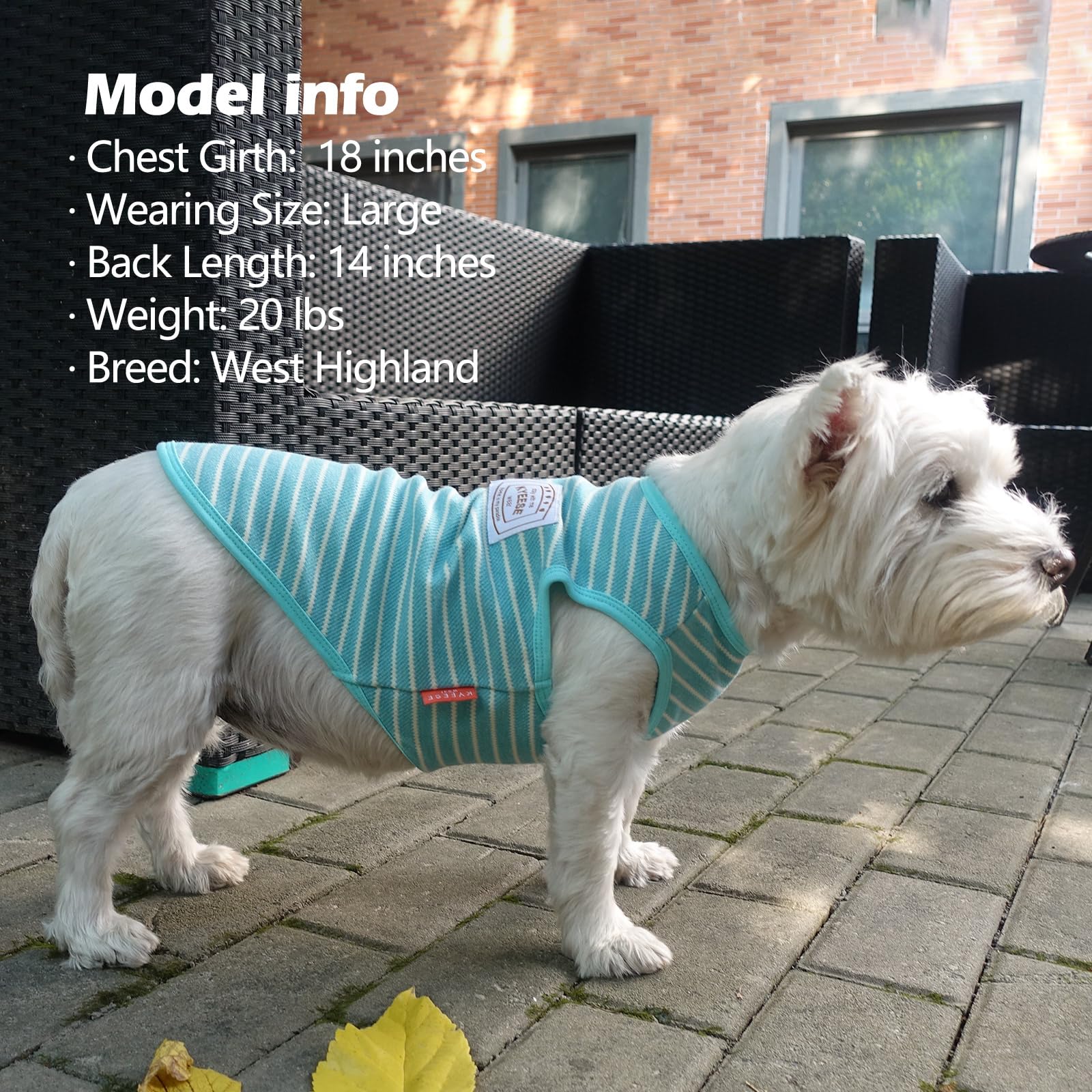 KYEESE camiseta para perros pequeños, color rosado y azul, uso diario cómodo