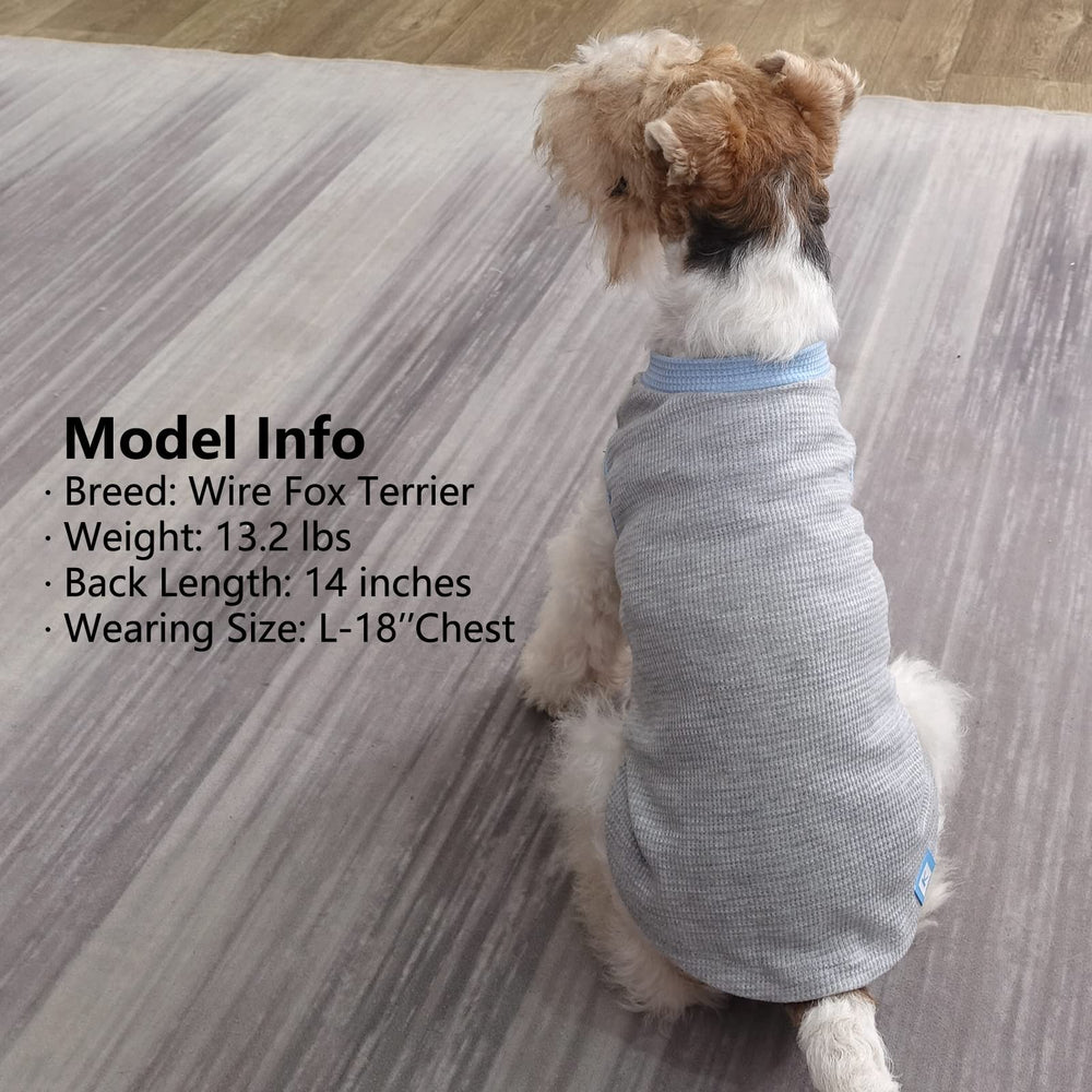 KYEESE sin mangas para perro, diseño cómodo y rápido de vestir.