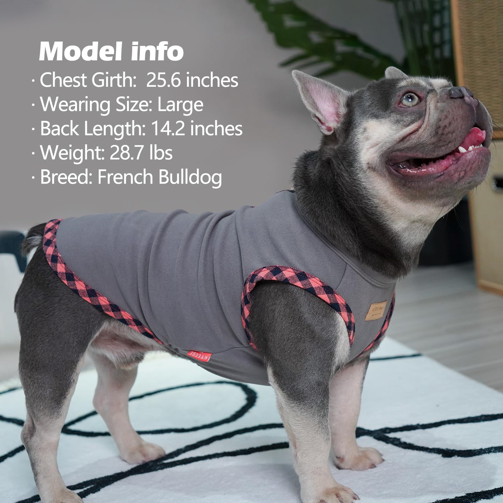 KYEESE corte alto en vientre y diseño elástico para perro