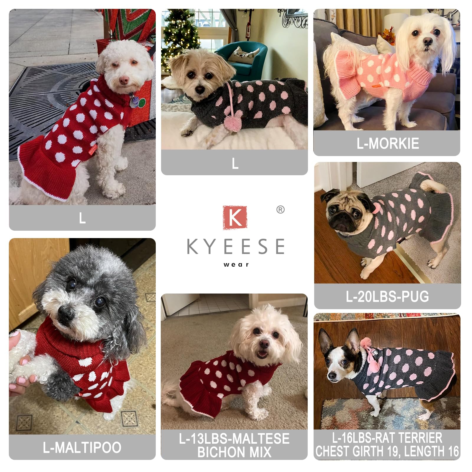 KYEESE diseño-llamativo-puntos perrito elegante para salidas.