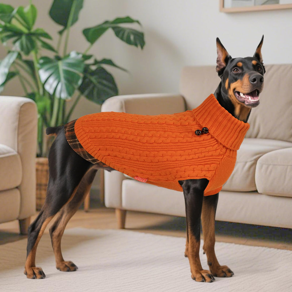 Modelo canino luce libertad de movimiento con suéter KYEESE