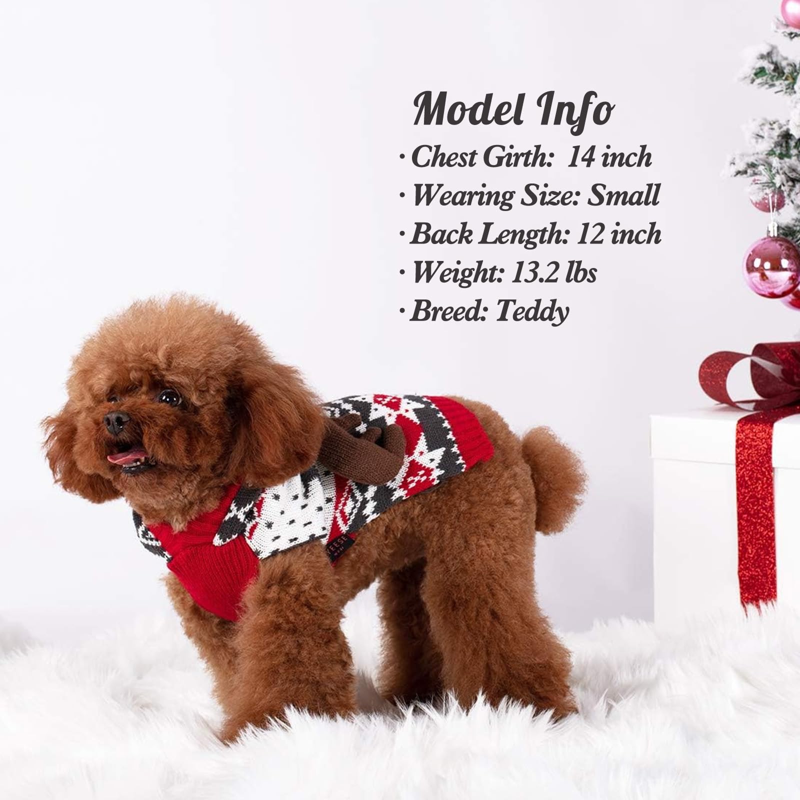 KYEESE look navideño para perros, perfecto para fotos