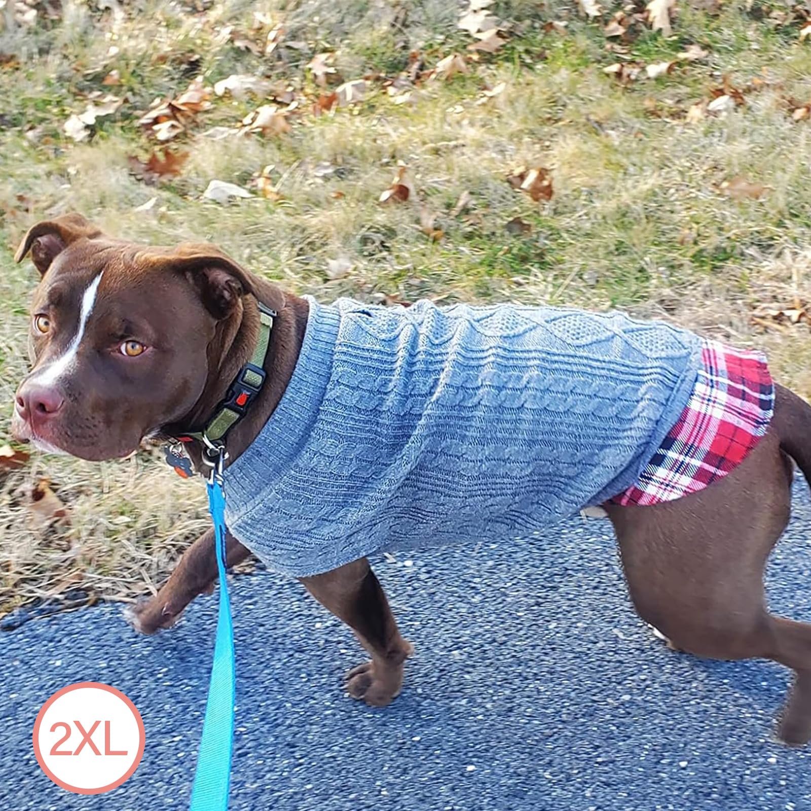 KYEESE sudadera para perro estilo clásico, ideal para paseos.