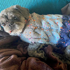 KYEESE diseño exclusivo en bloques de color; estilo diario para la mascota