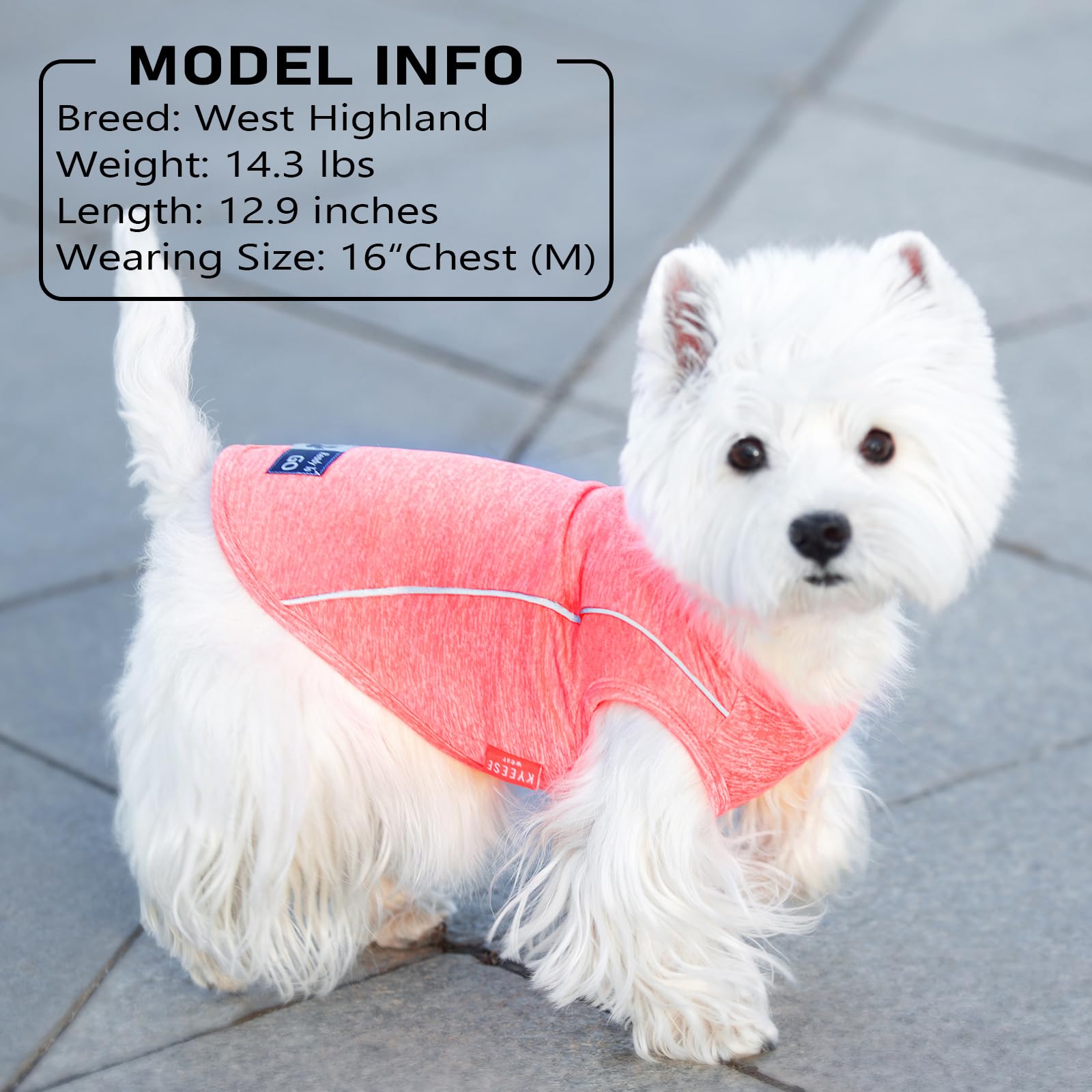 KYEESE tank top para perros sin mangas facilita libertad de movimiento