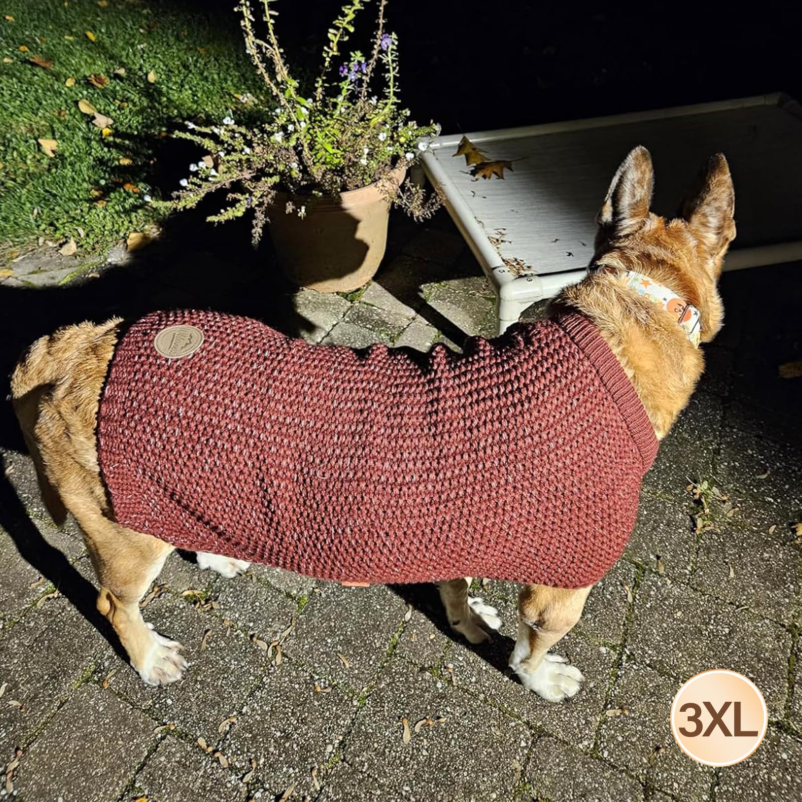 KYEESE suéter para perro grande mejora visibilidad nocturna durante paseos