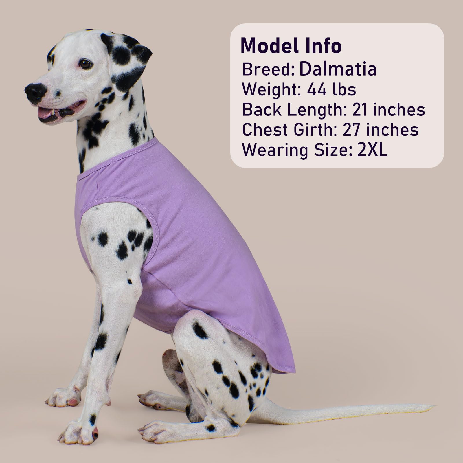 KYEESE camiseta canina versátil, ideal para actividades al aire libre y hogar.