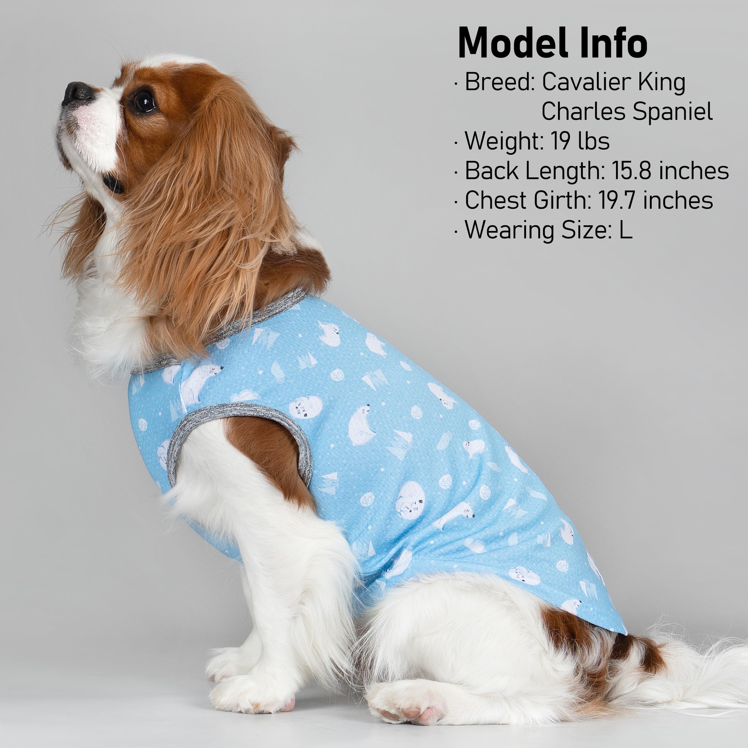 Instrucciones de uso KYEESE: mojar y enfriar en casa