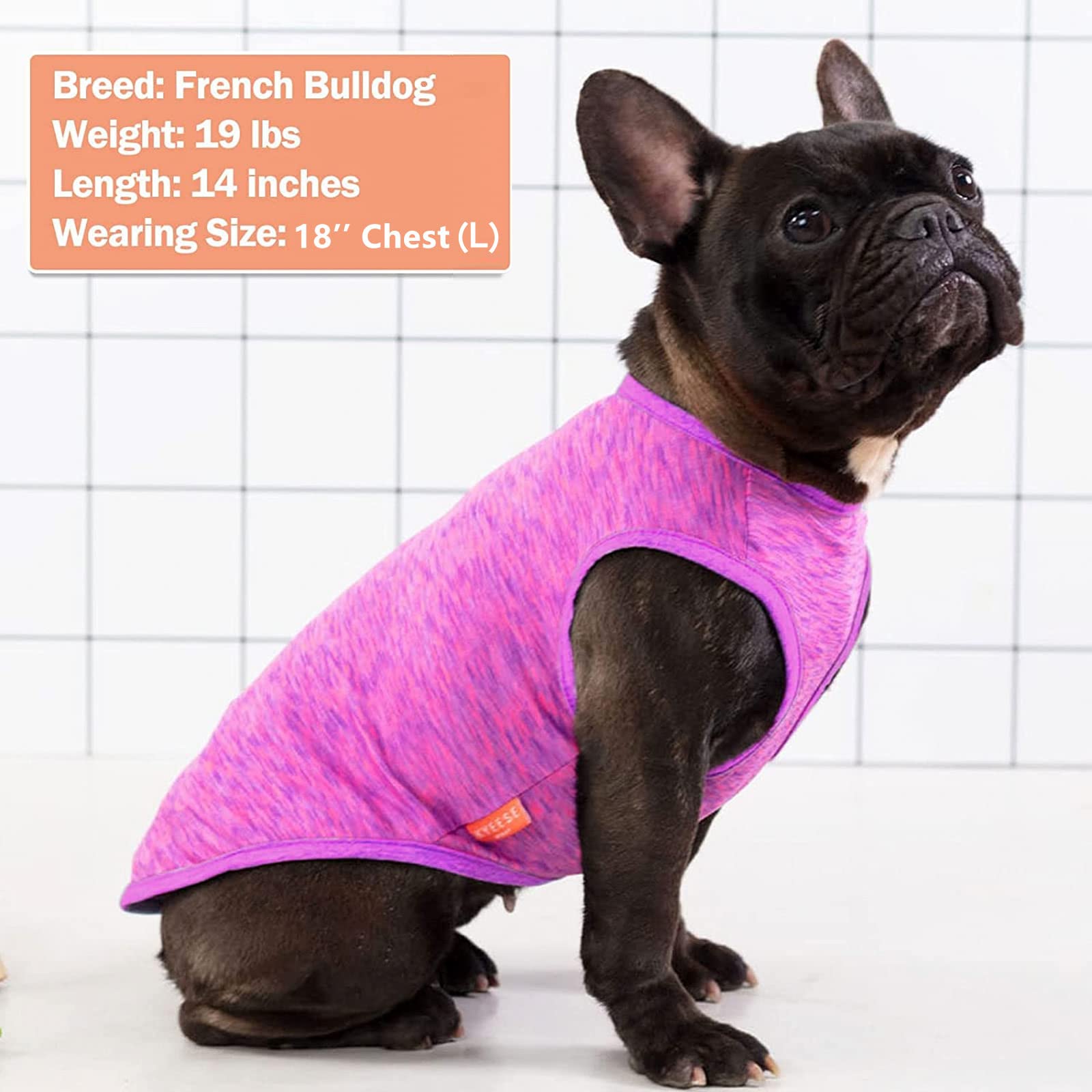 Colores morado y rosa KYEESE, estilo vibrante para mascotas.