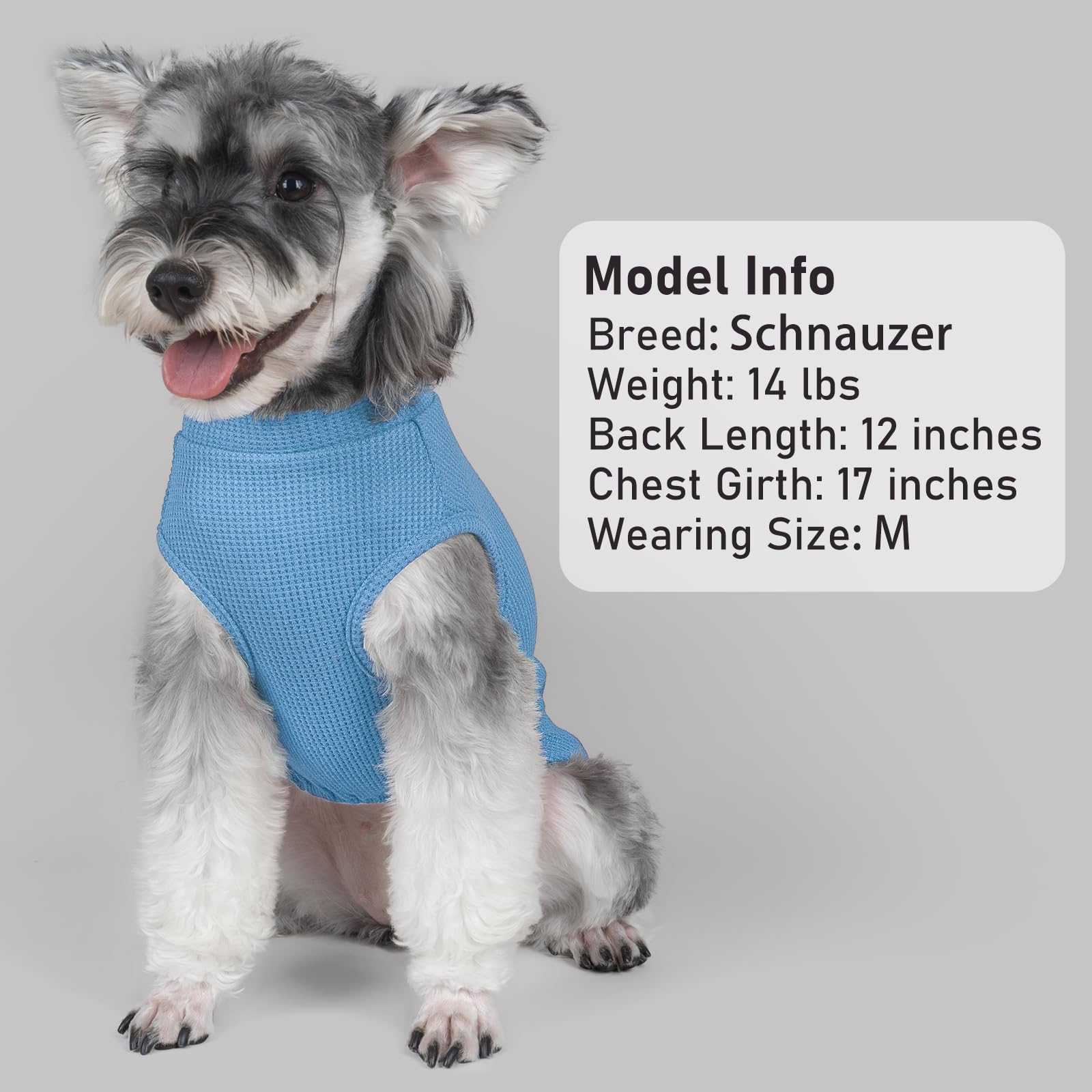KYEESE camiseta para perro con ajuste claro y tallas disponibles