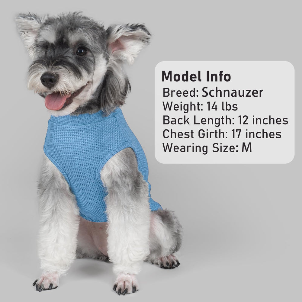 KYEESE camiseta para perro con ajuste claro y tallas disponibles