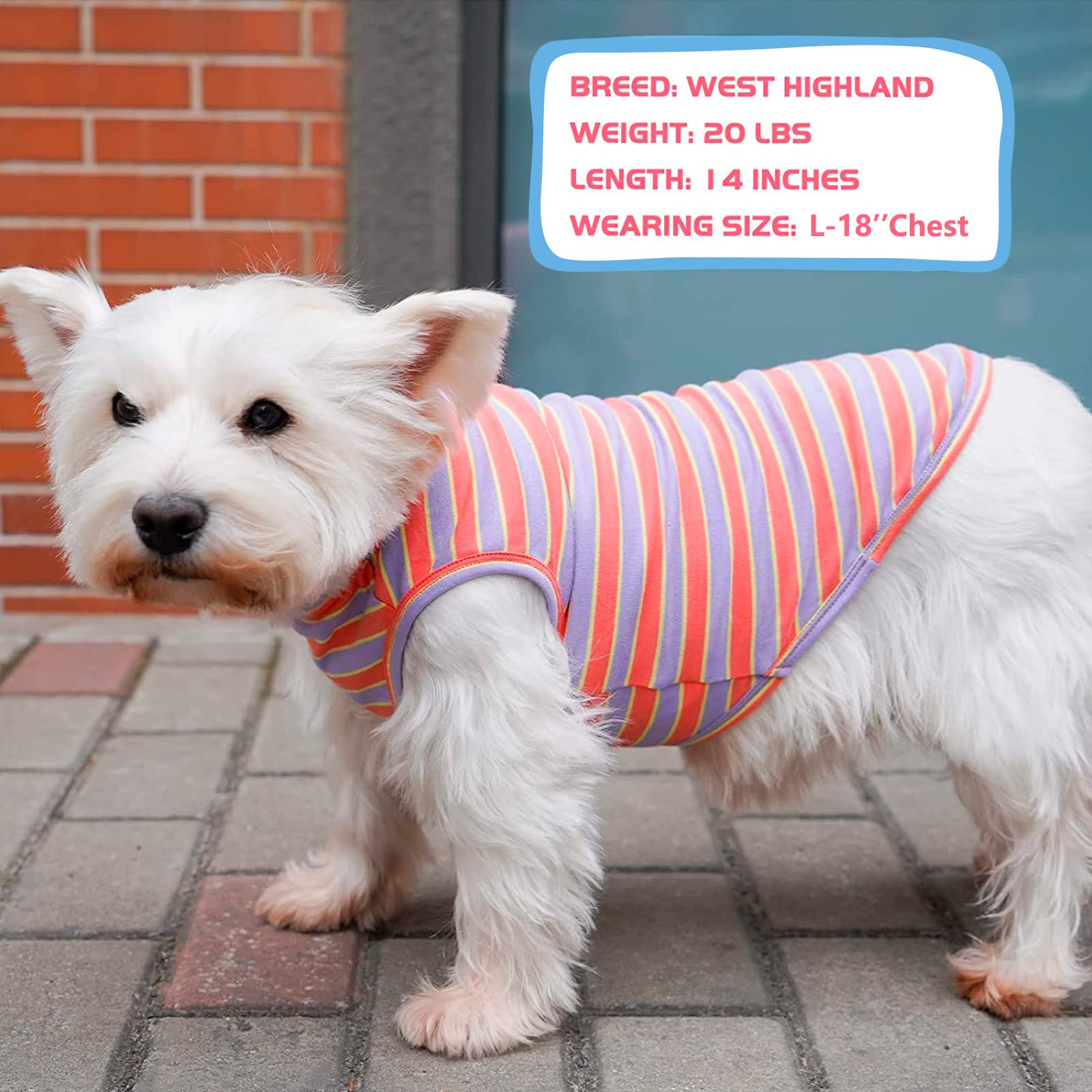 KYEESE Camiseta sin mangas para paseos ligeros y cómodo para perros grandes.