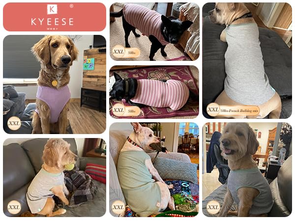 Empaque de dos camisetas KYEESE para perros grandes en azul y gris