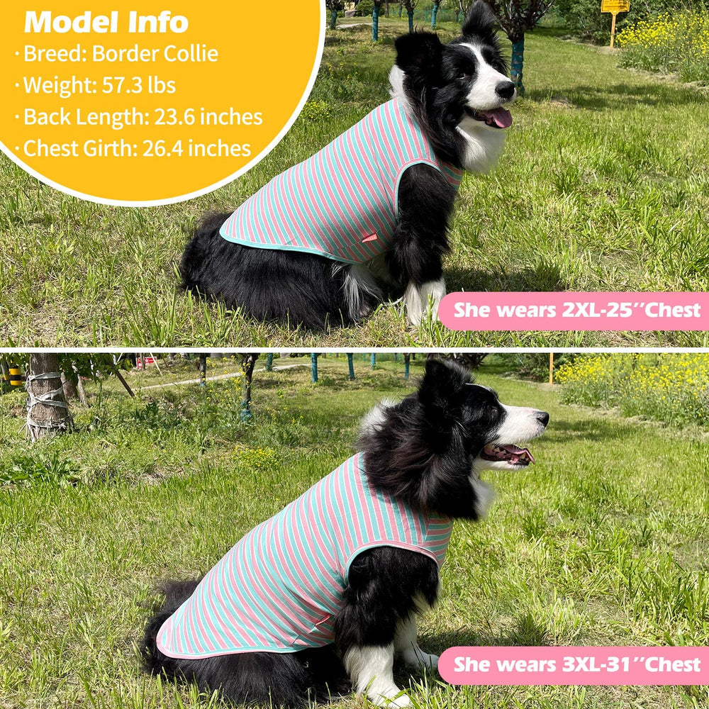 KYEESE: camiseta con logo de hueso reflectante en la espalda para mayor visibilidad.