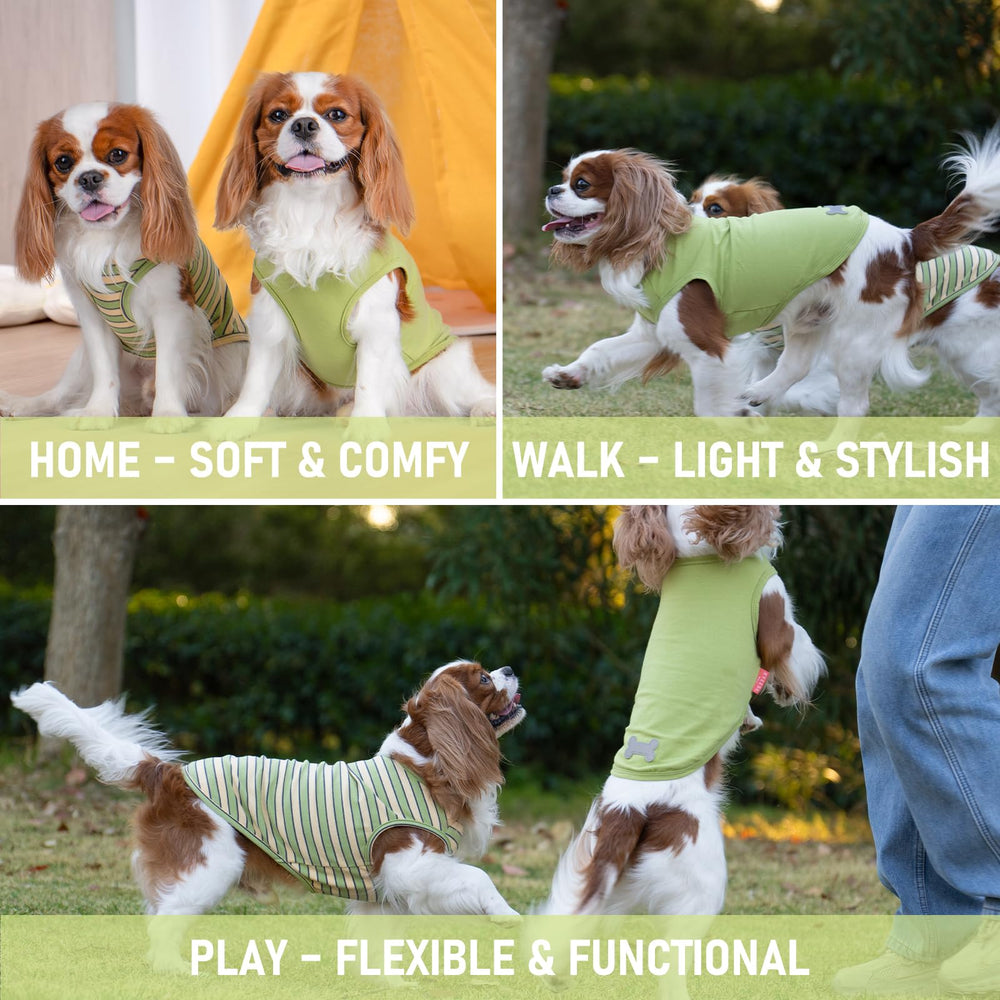 KYEESE camiseta para perro verde, ideal para paseos diarios y uso cotidiano.