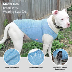 Camiseta KYEESE para perro en rosa rojo, ligera y transpirable para entrenamientos