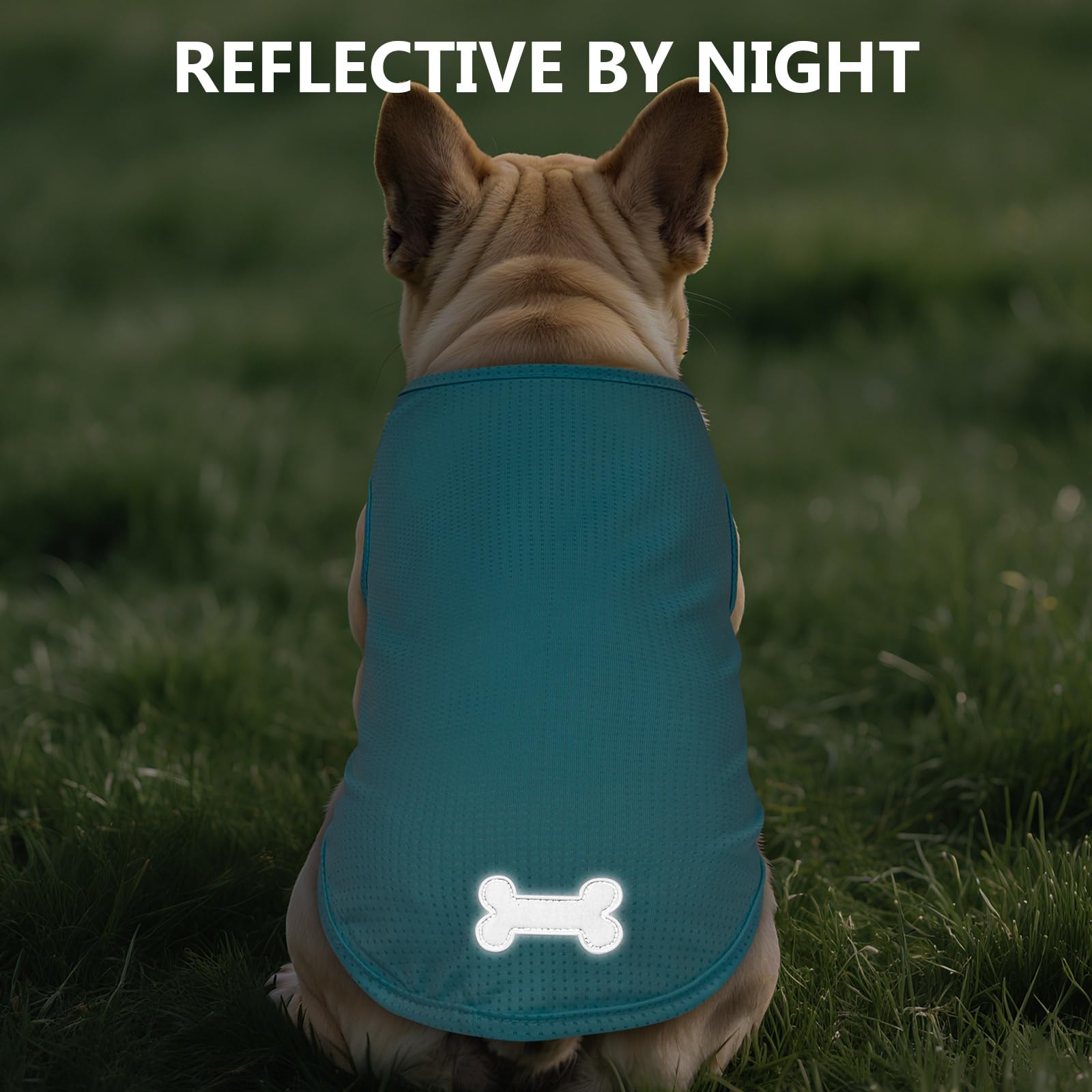 Camiseta KYEESE sin mangas para perros, ideal en días calurosos