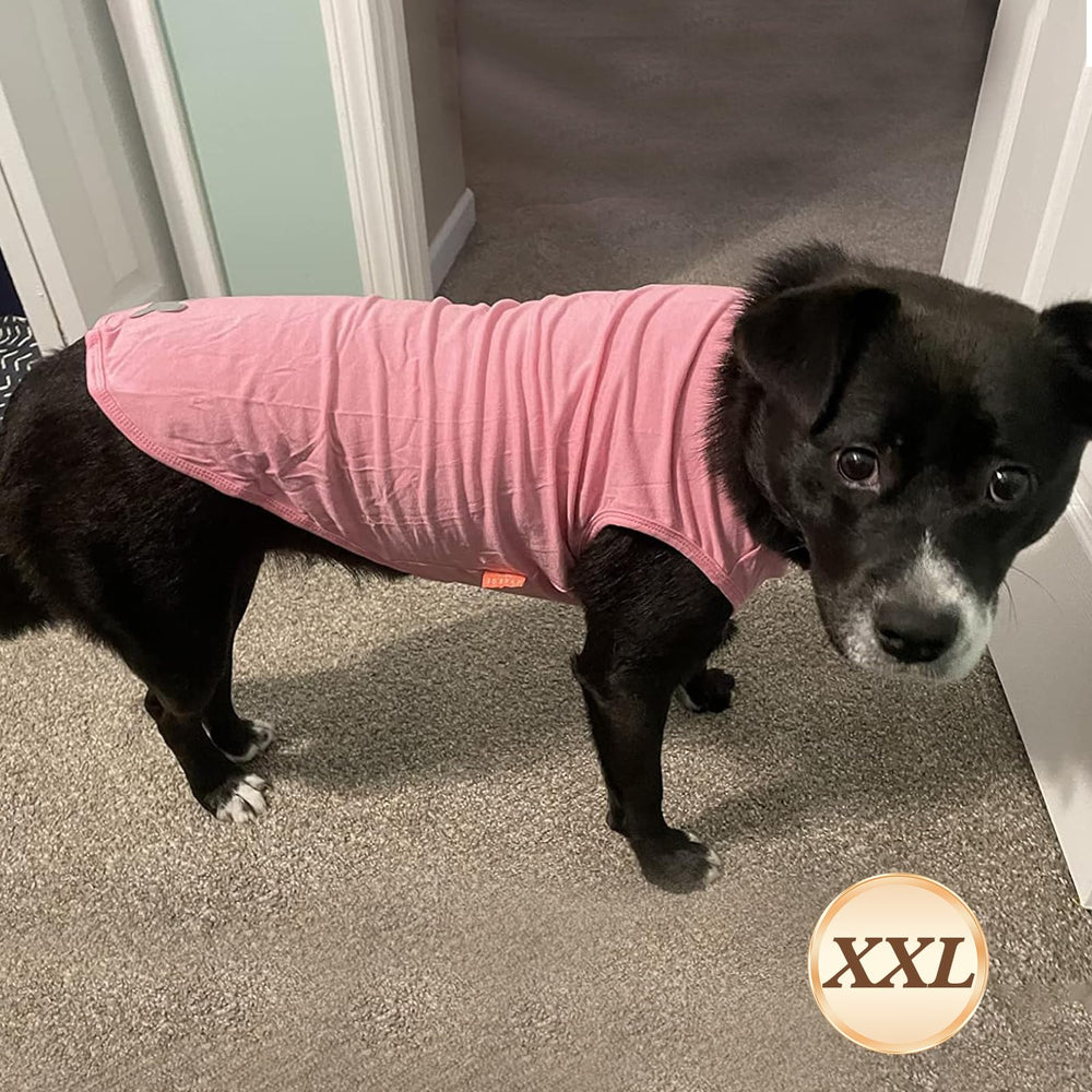 KYEESE camiseta perro tejido ligero transmite frescura durante caminatas casuales.