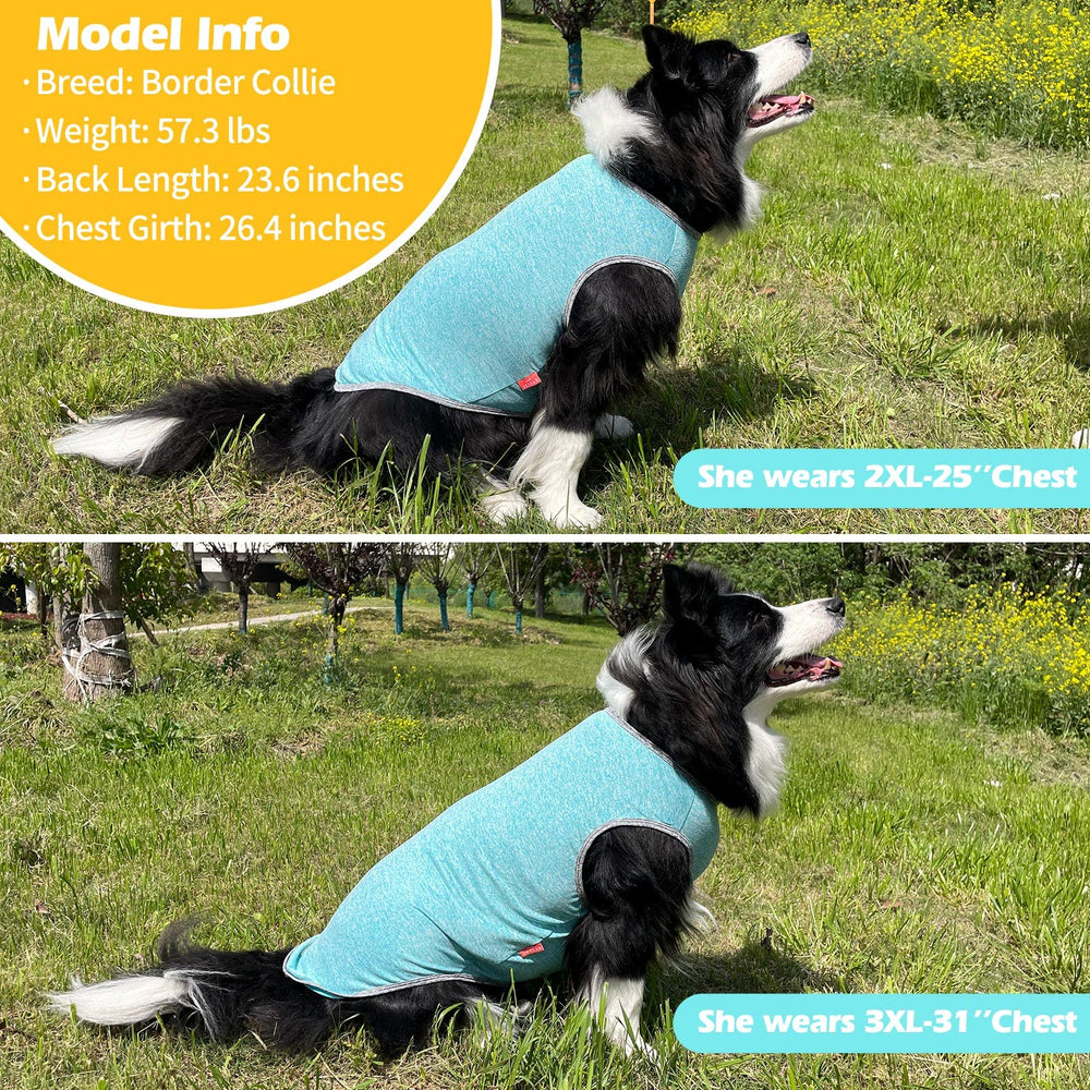 Camiseta KYEESE para perro de secado rápido y comodidad.