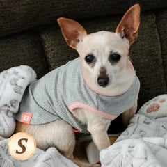 KYEESE camiseta gofre para perro pequeno, vista frontal muestra ajuste comodo.
