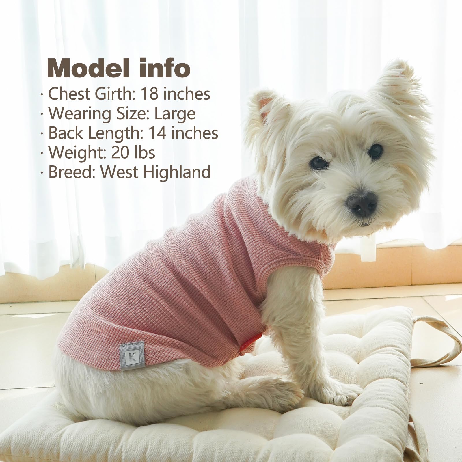 Talla extragrande para perros pequeños, ajuste cómodo