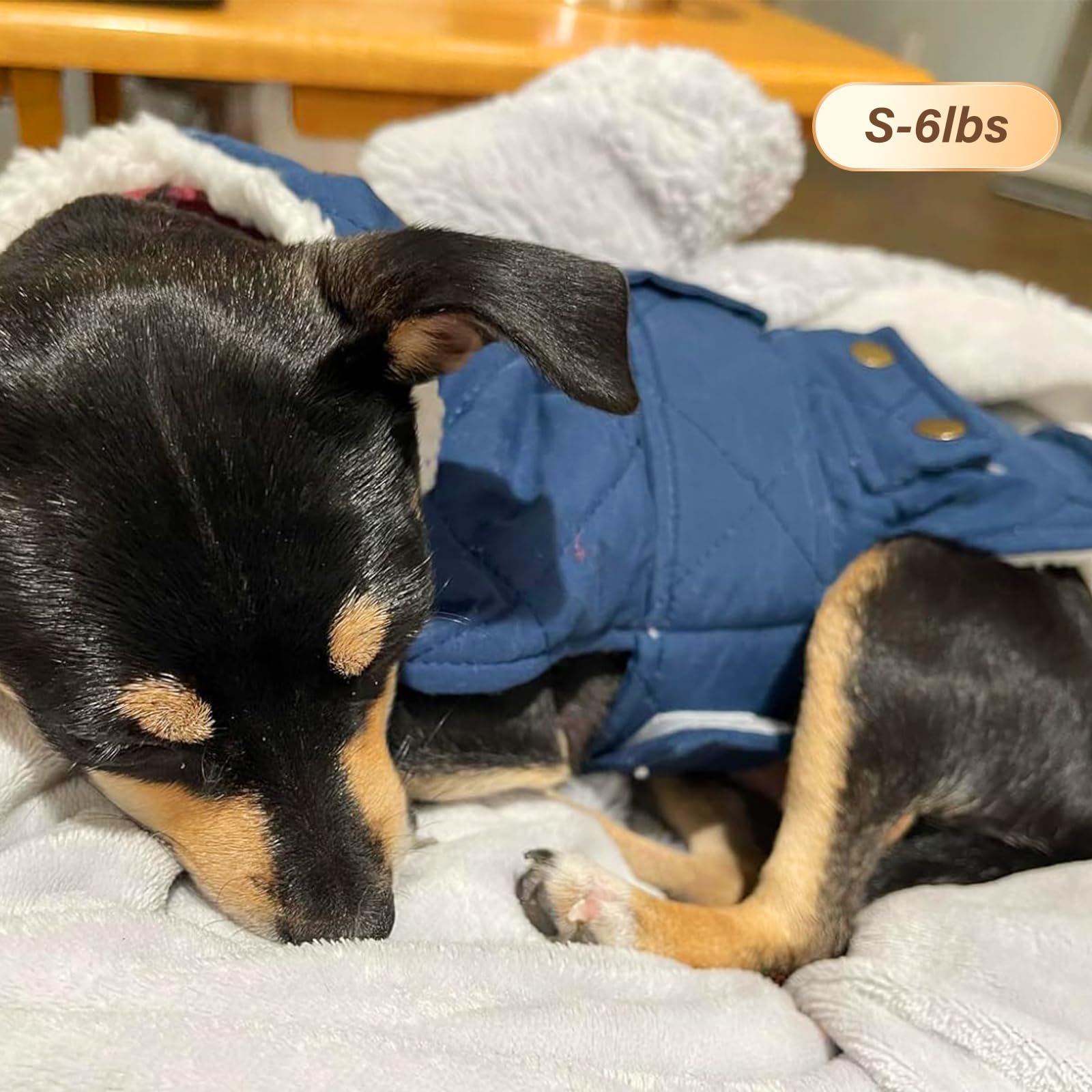KYEESE chaleco perro invierno, talla ajustable, fácil de poner y quitar para perros pequeños.