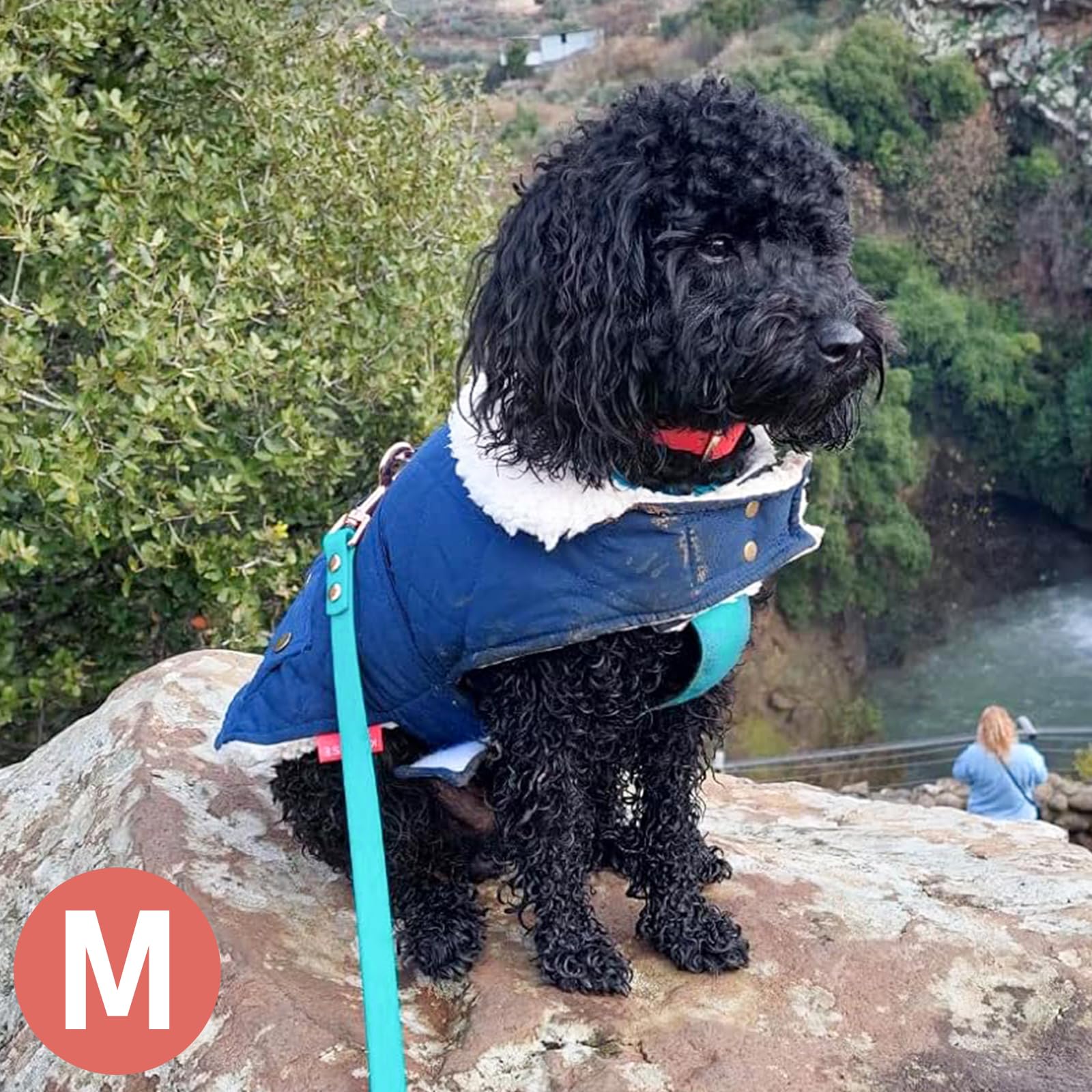 KYEESE chaleco perro impermeable, protección contra viento, ideal para días ventosos.