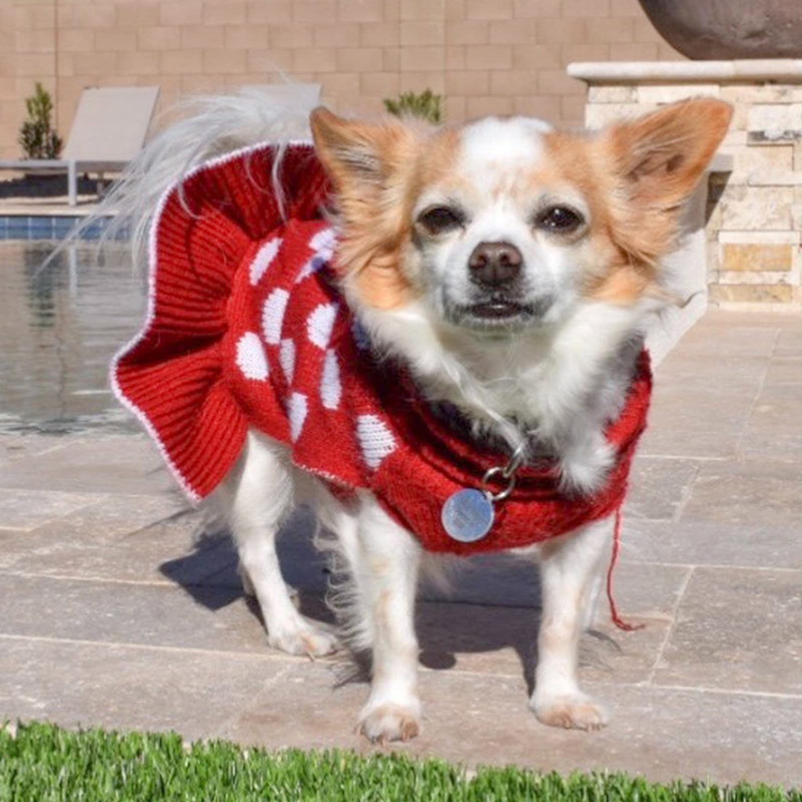 KYEESE diseño versátil para otoño e invierno, mantiene a la mascota abrigada