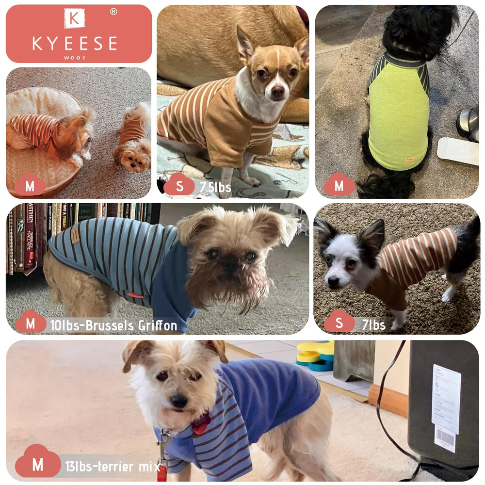 Guía de tallas KYEESE para medir pecho y espalda con precisión.