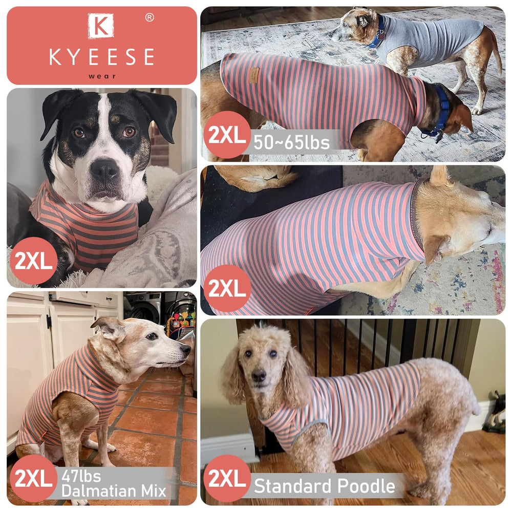 Conjunto KYEESE de dos sudaderas para perro, colores sólido y raya