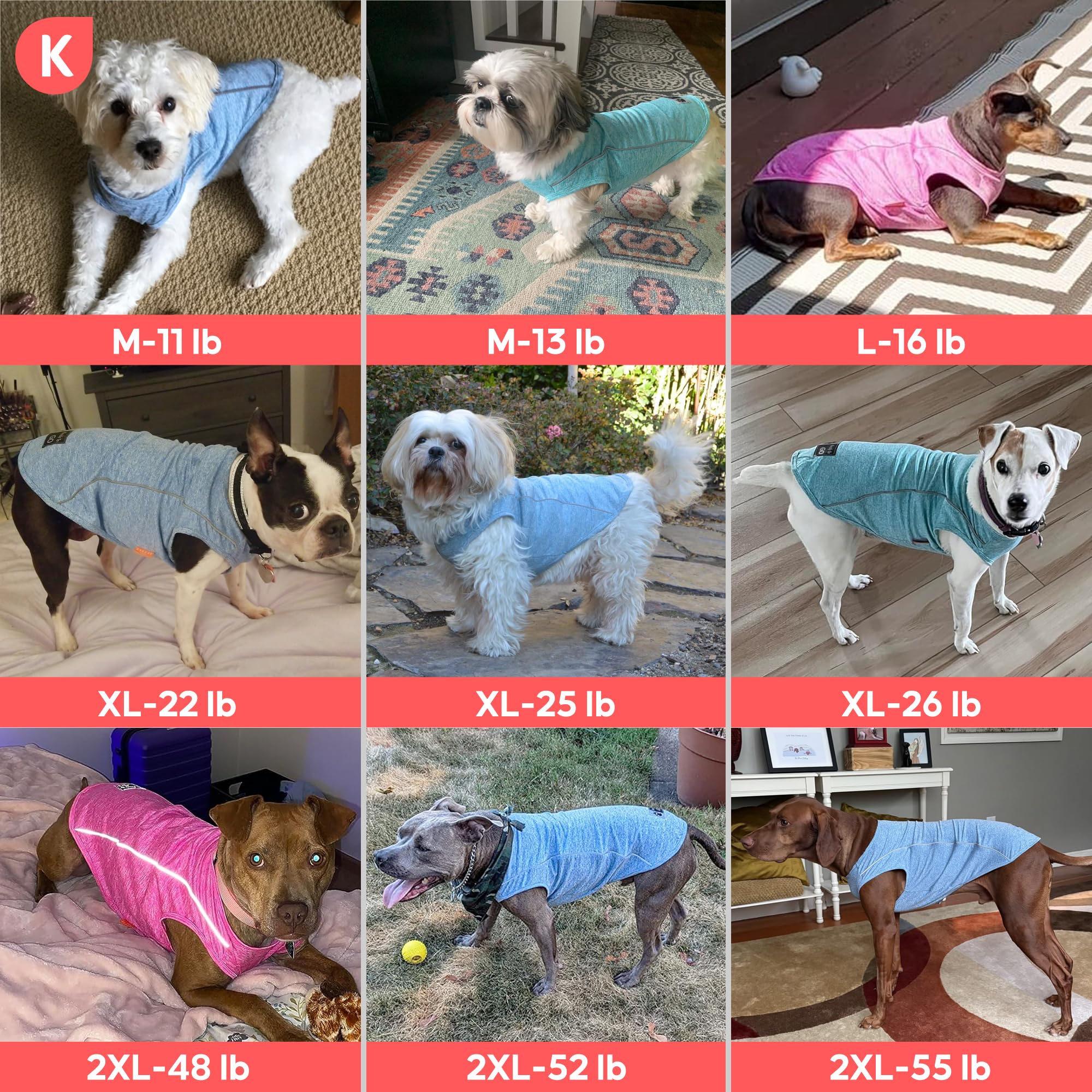 Perro utilizando camiseta KYEESE durante paseo diario al aire libre.