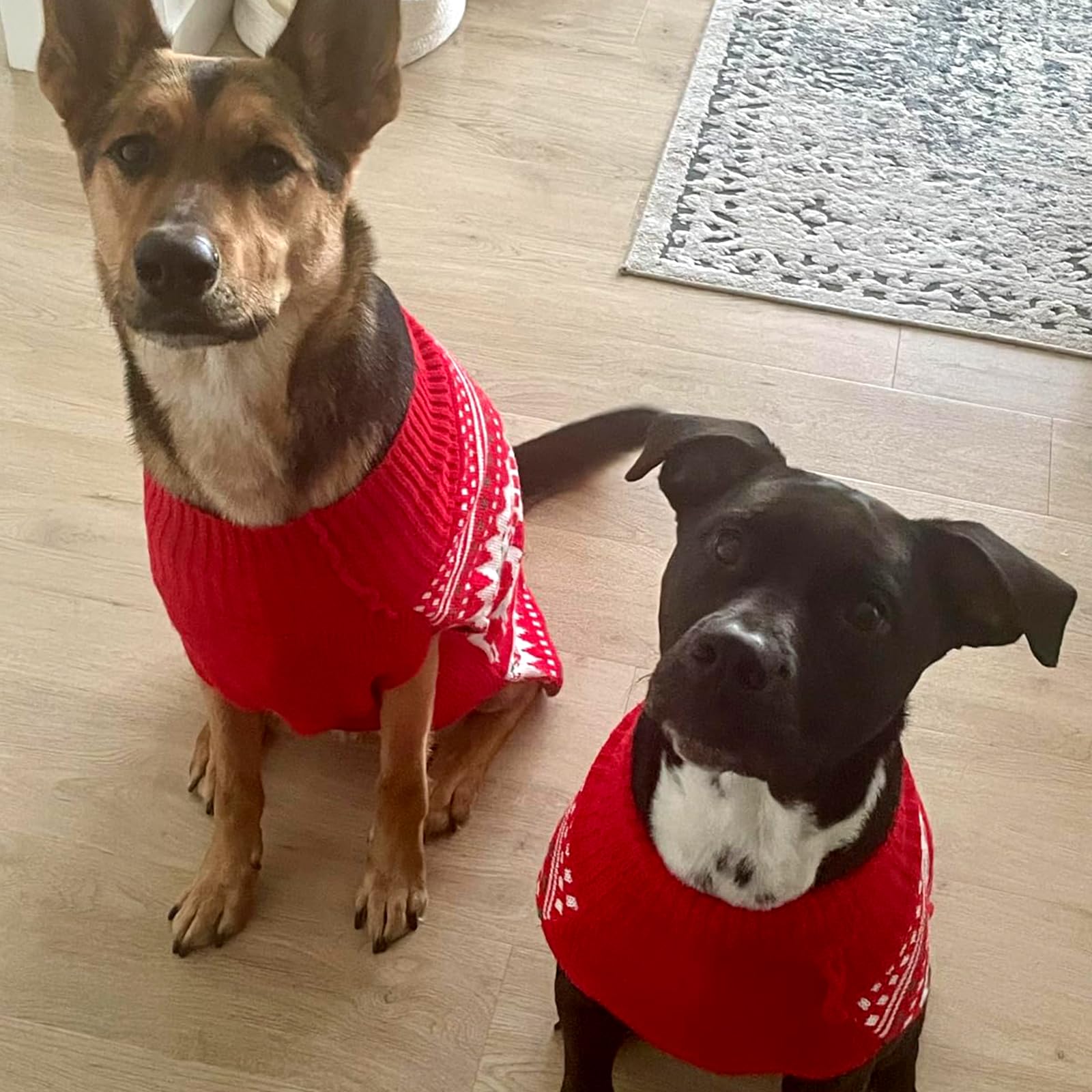 KYEESE prenda festiva y práctica para días festivos con mascotas