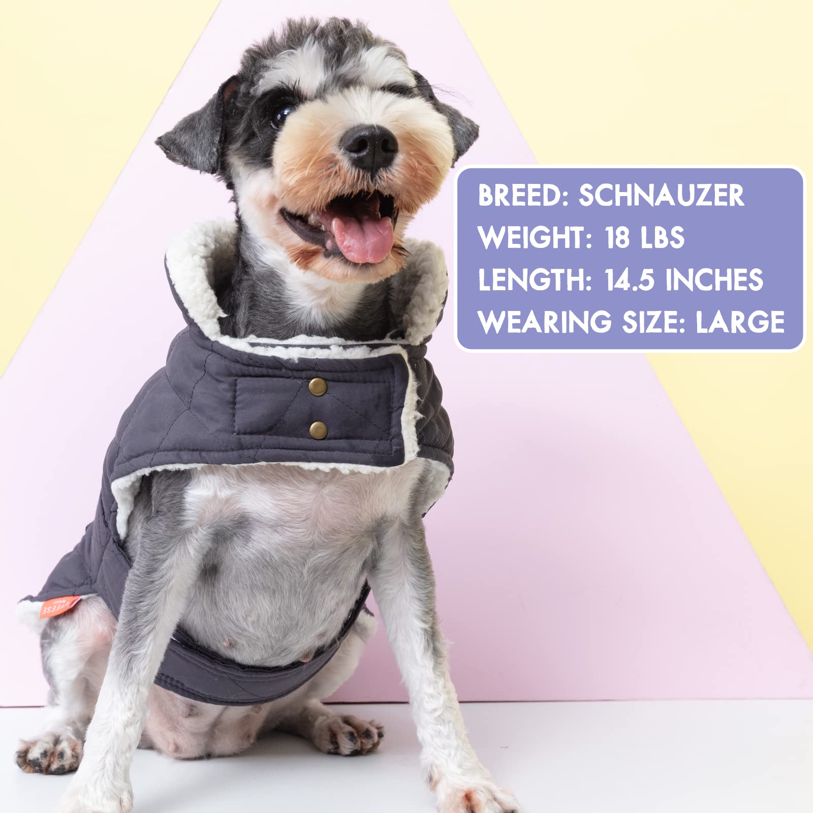 Kyeeese abrigo ligero, ideal para perros activos sin perder movilidad