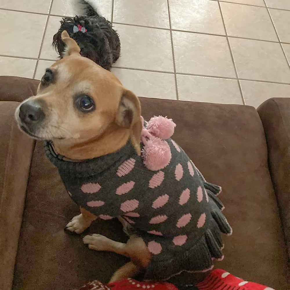 KYEESE suéter para perro con pompón en espalda, toque adorable