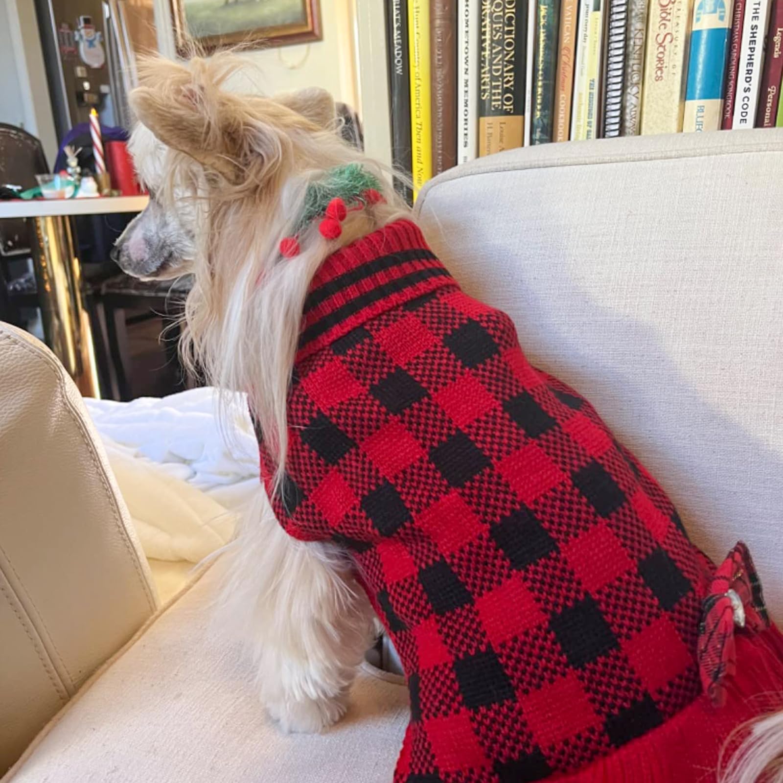 KYEESE suéter de uso diario para perro, estilo festivo y cómodo.