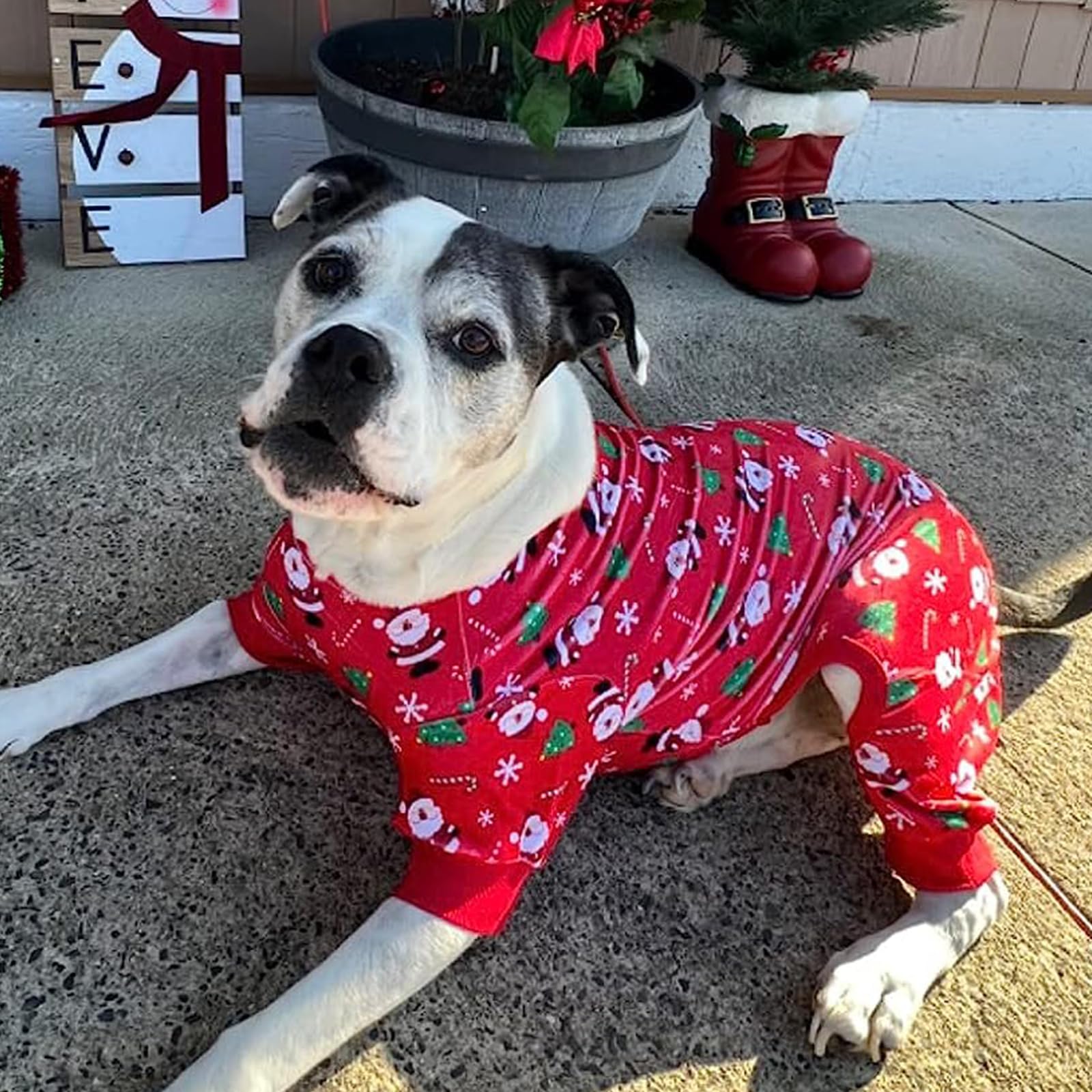 KYEESE conjunto navideño para perro mediano, foto familiar