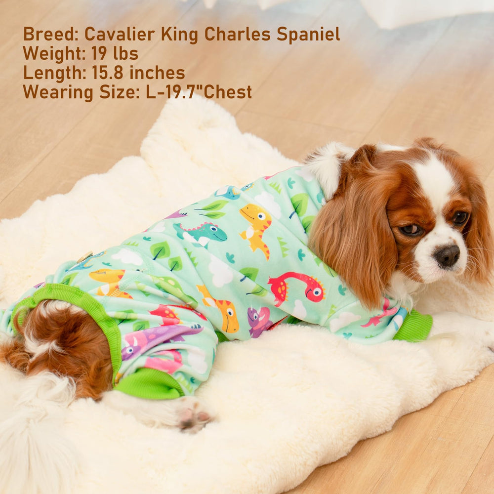 Pijama KYEESE mantiene al perro abrigado en días fríos.