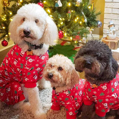 KYEESE Pijama para perro, fácil de poner y lavar a máquina para uso diario.