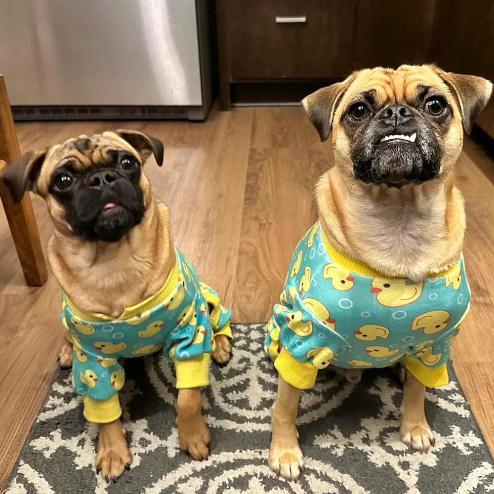 KYEESE talla extragrande XL: ajuste cómodo para perros de mayor tamaño.