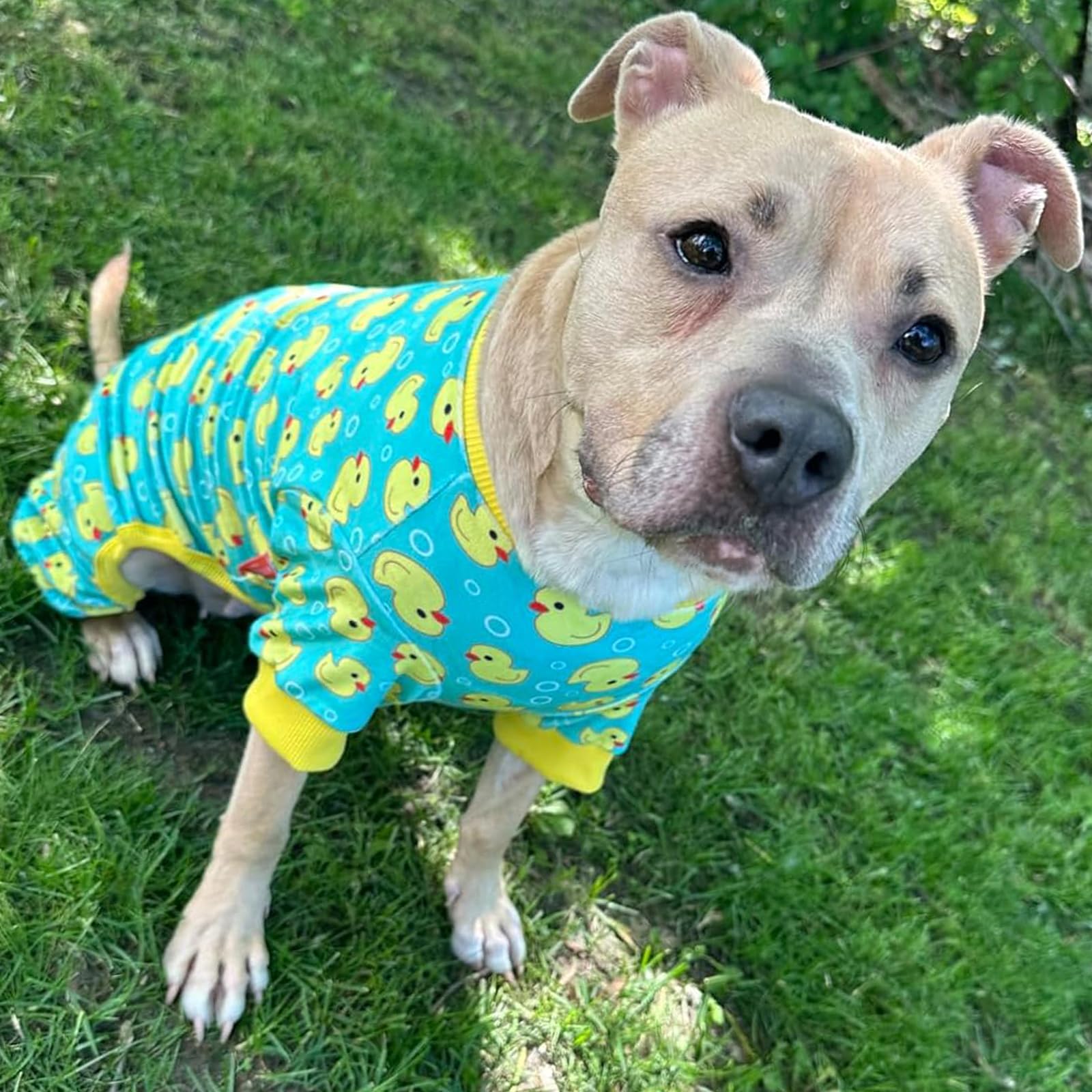 KYEESE pijamas perrito ajuste elástico en el cuello para mayor comodidad.