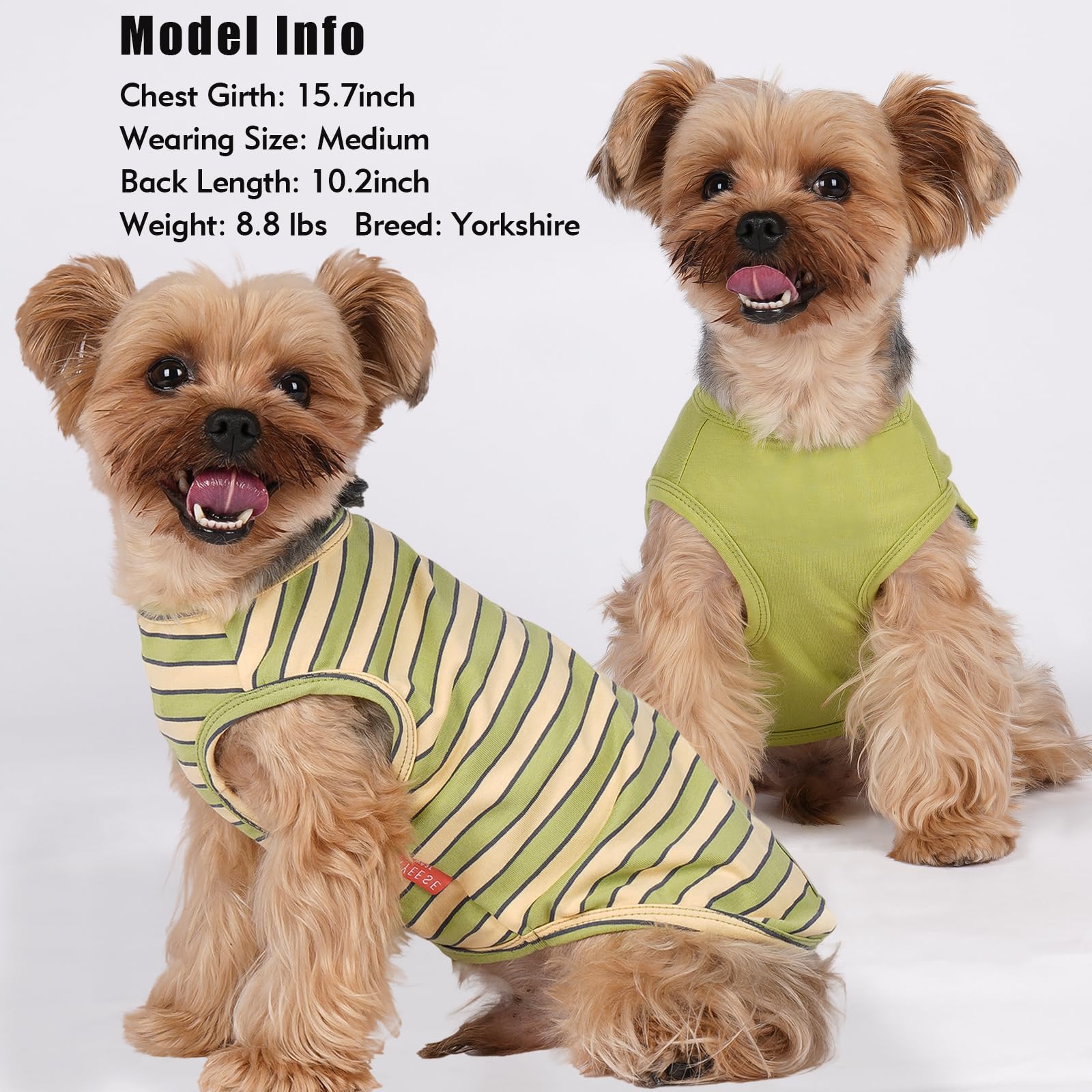 KYEESE ropa para perro uso interior y exterior cómodo.