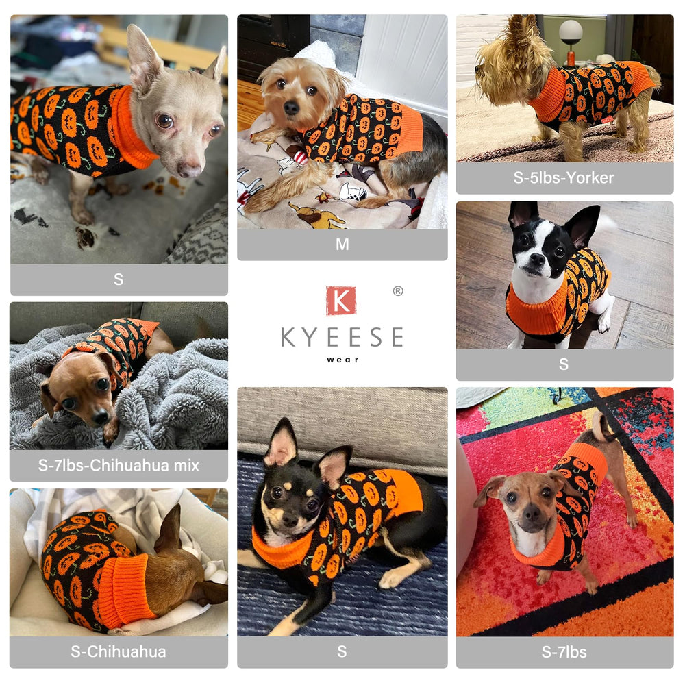 KYEESE sudadera ligera para perros, enfoque en diseño, perfecto para salidas casuales
