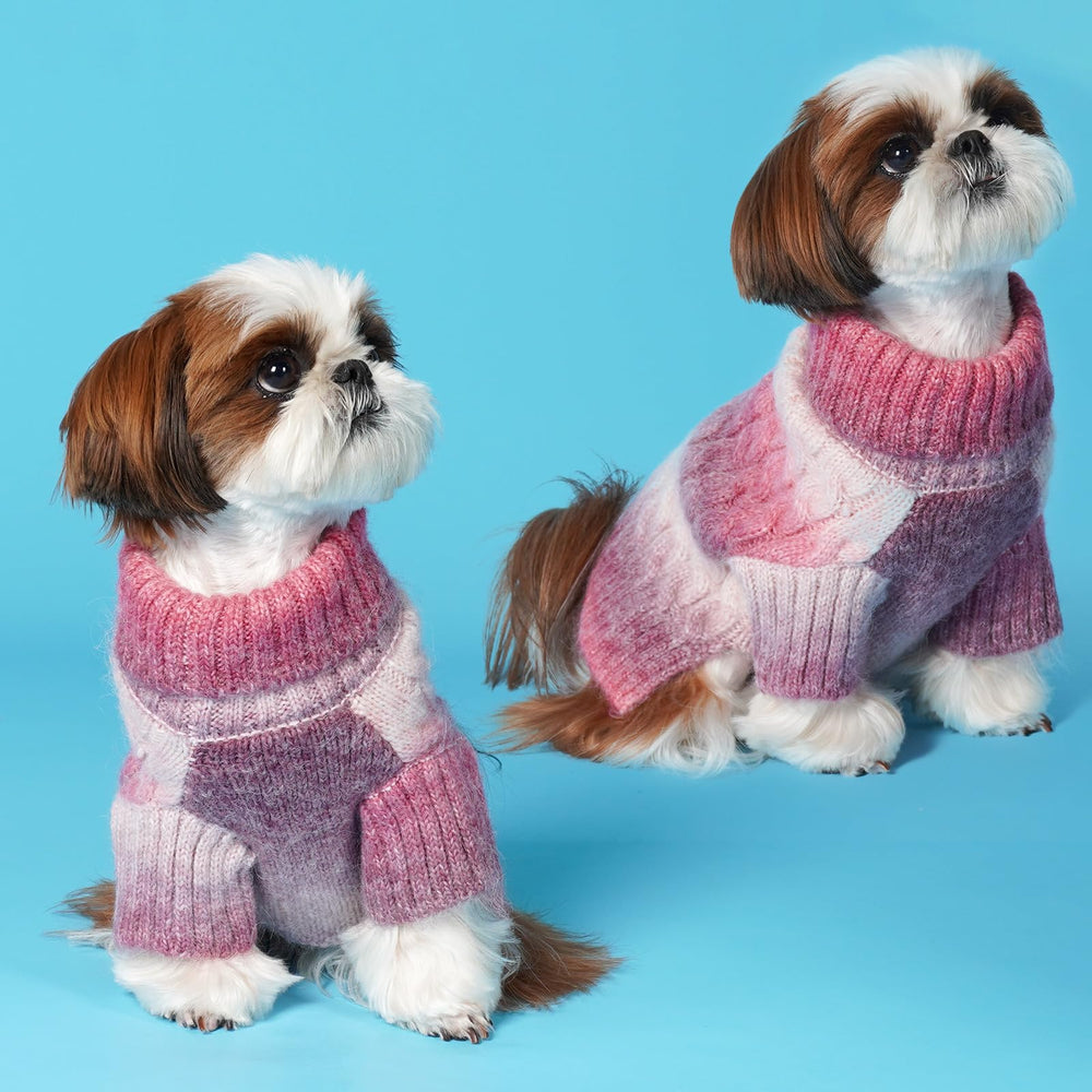 KYEESE prenda de moda invernal para perro con toque adorable.