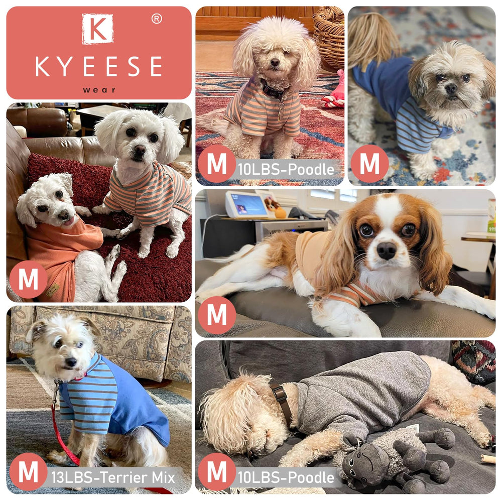 KYEESE sudadera para perro lavable a máquina, ahorro de tiempo.