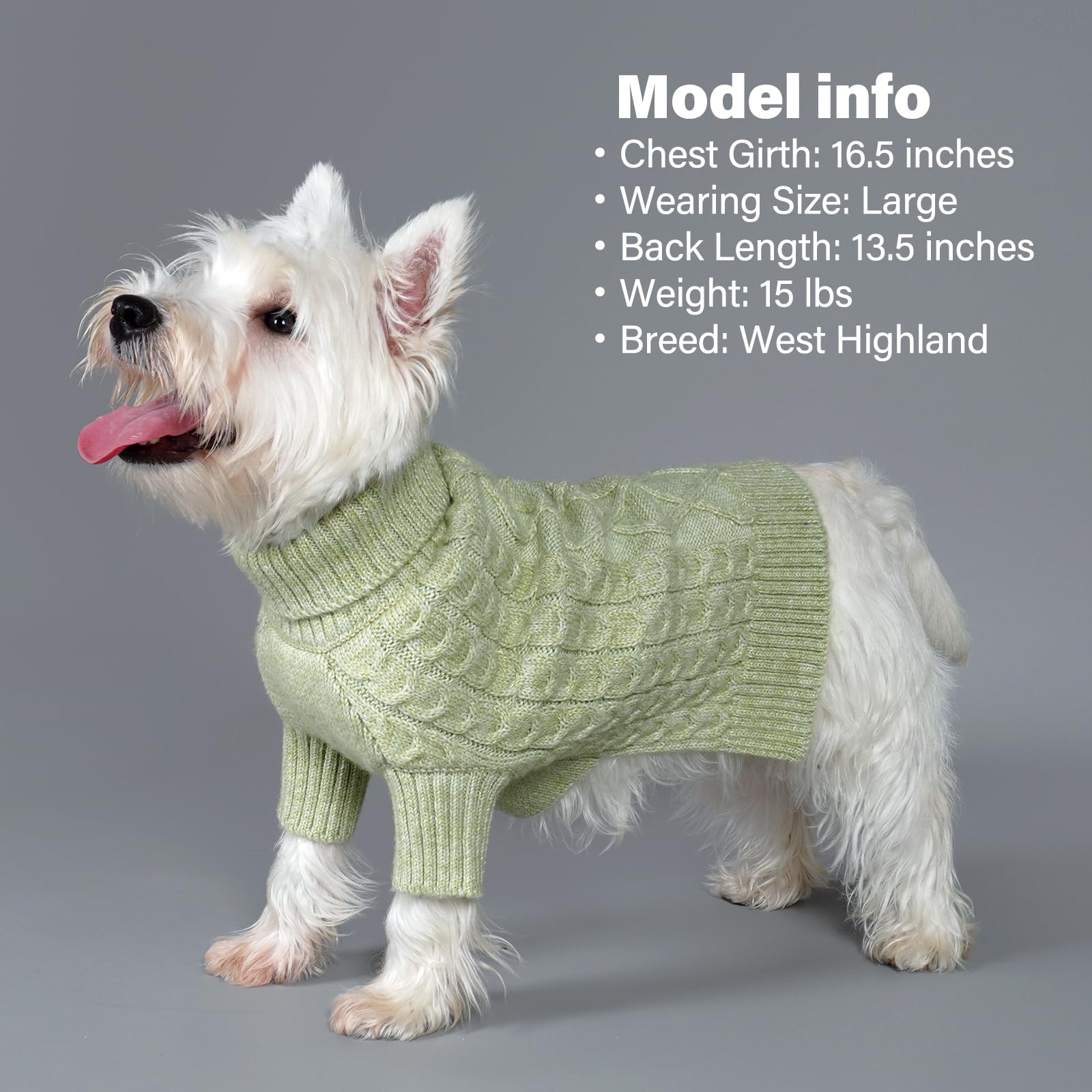 KYEESE prenda para perro con hilo dorado y teje doble, aspecto premium.