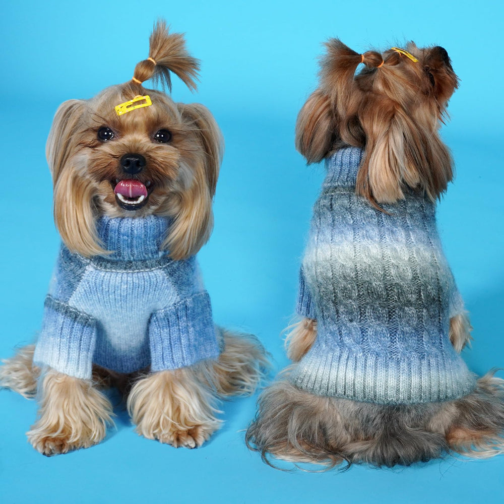 KYEESE ropa de invierno para perro pequeño, confort y abrigo azul.