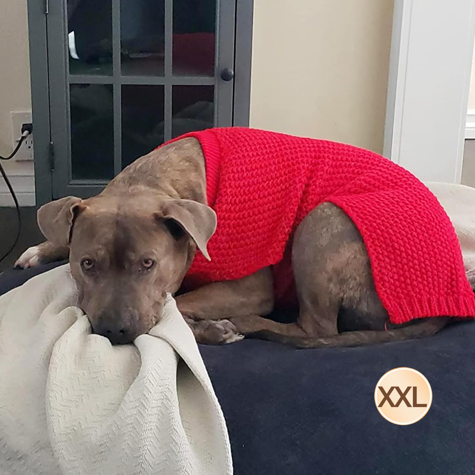 KYEESE suéter perro XXL cálido para inviernos y paseos nocturnos.